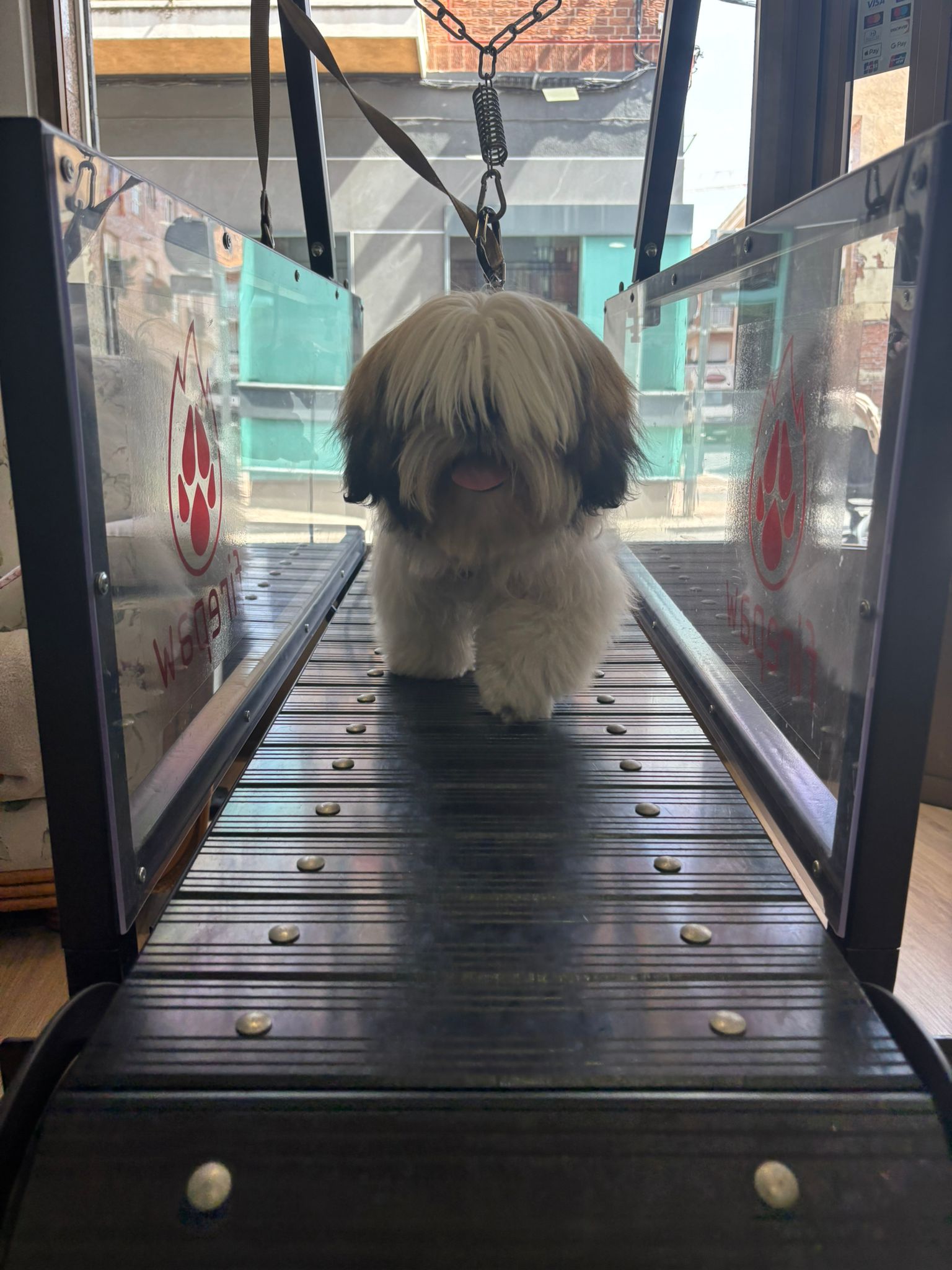 Bono mensual "Slatmill" cinta de correr