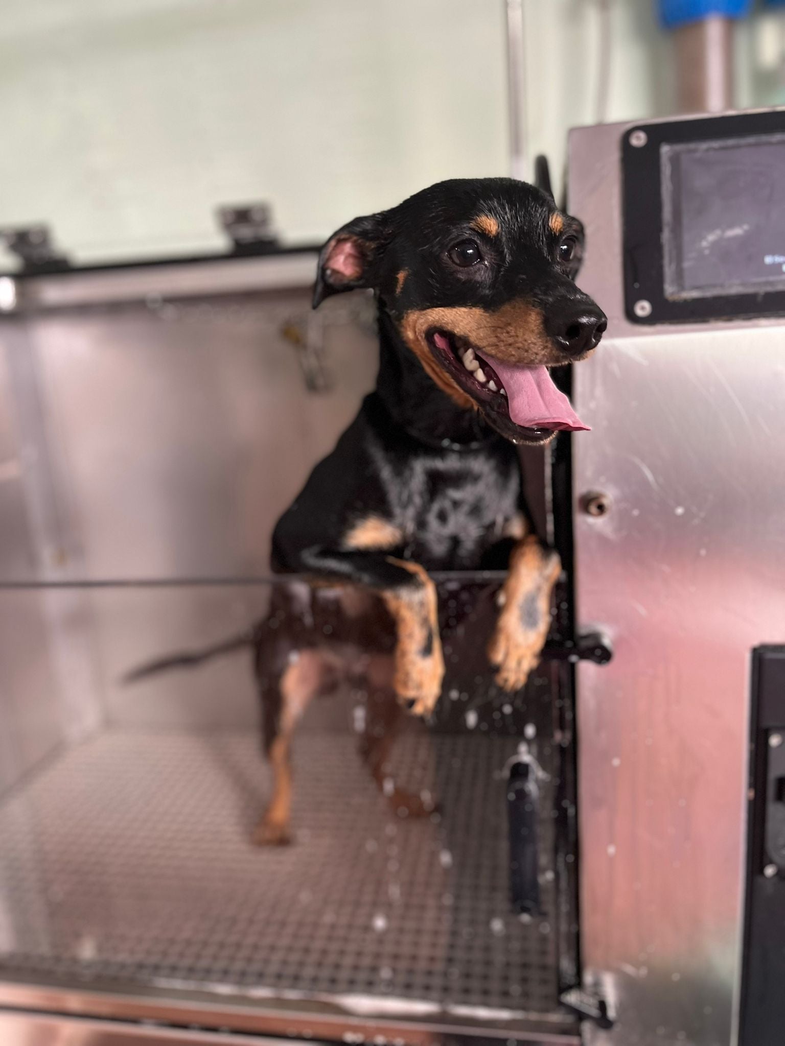 Membresía Autolavado Mensual (3 usos)