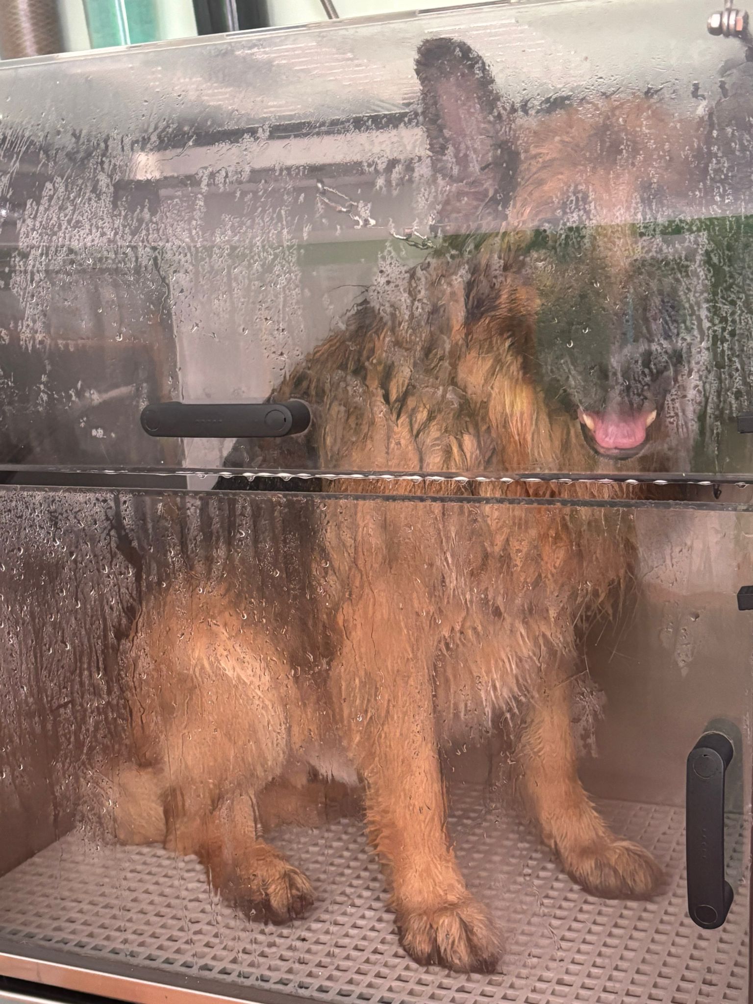 Ozonoterapia en cabina