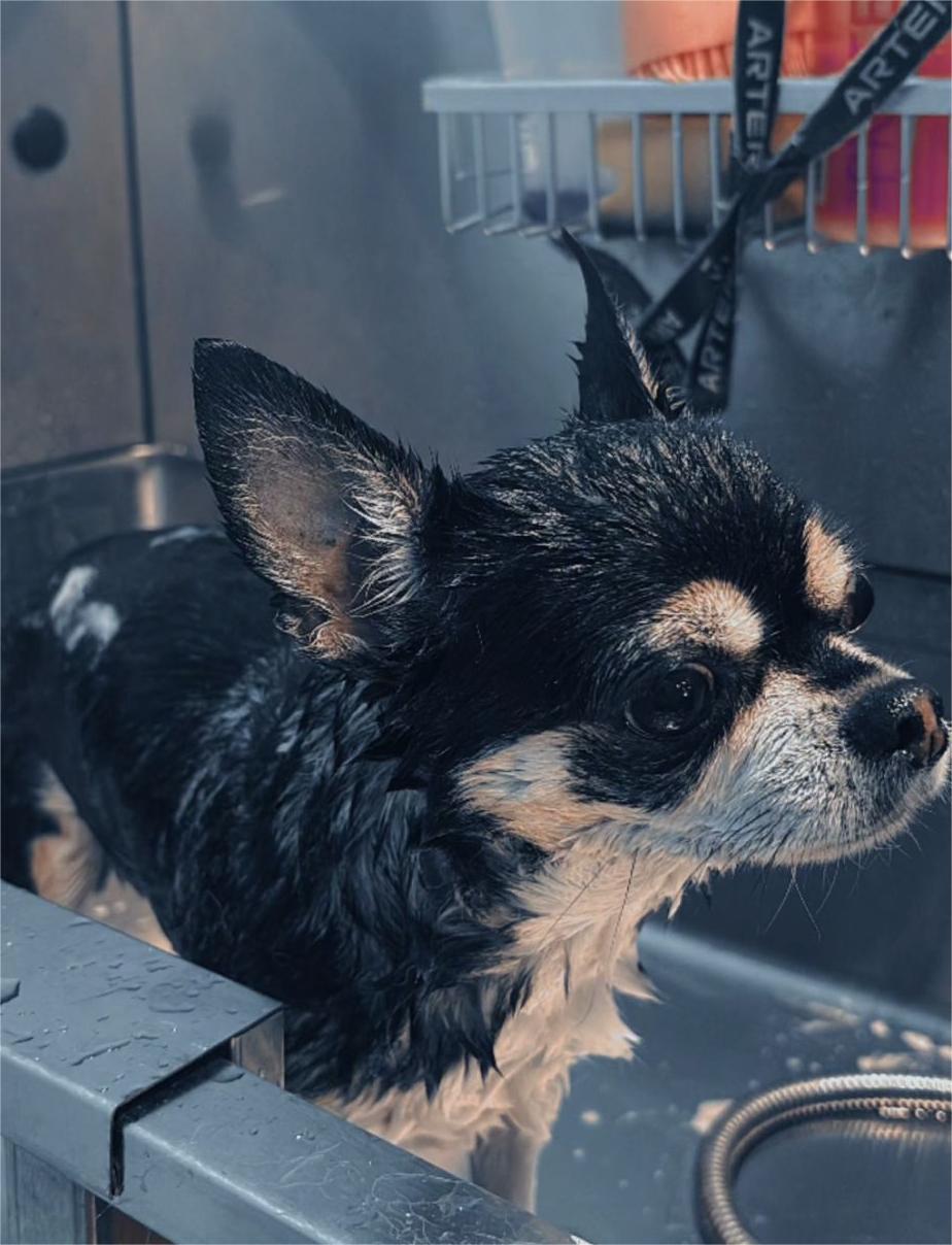 Spa Dermo + Ozonoterapia